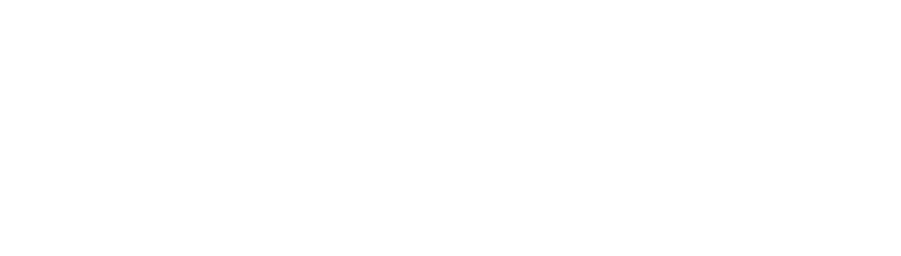 Swisspor