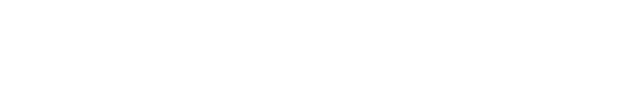 VDV Akademie